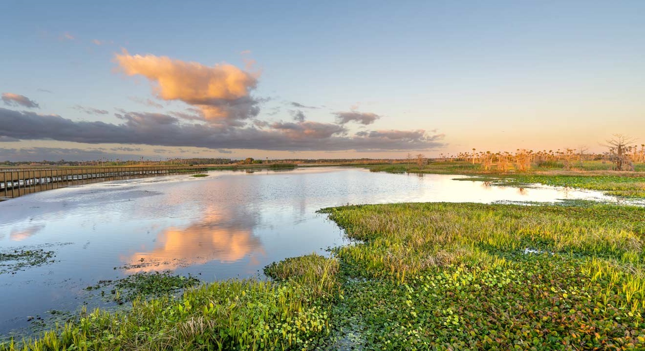 Photo credit: iStock/Getty Images/Bkamprath