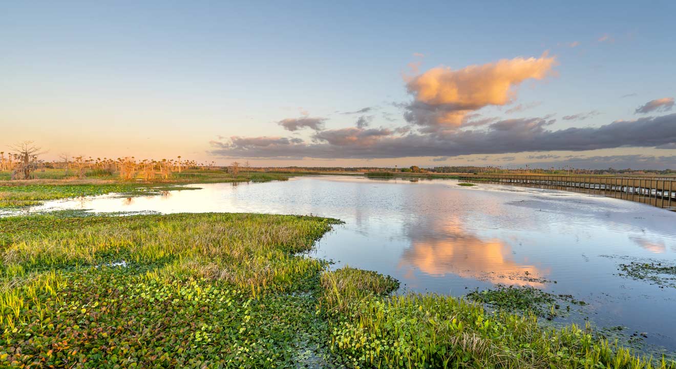 Photo credit: iStock/Getty Images/Bkamprath