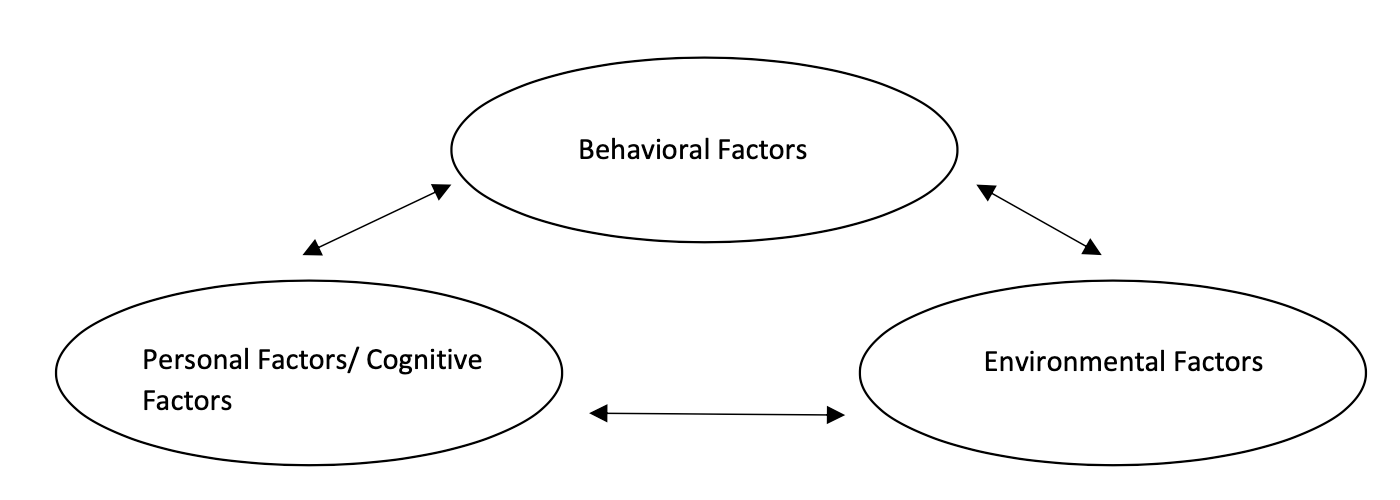 Social Cognitive Theory diagram