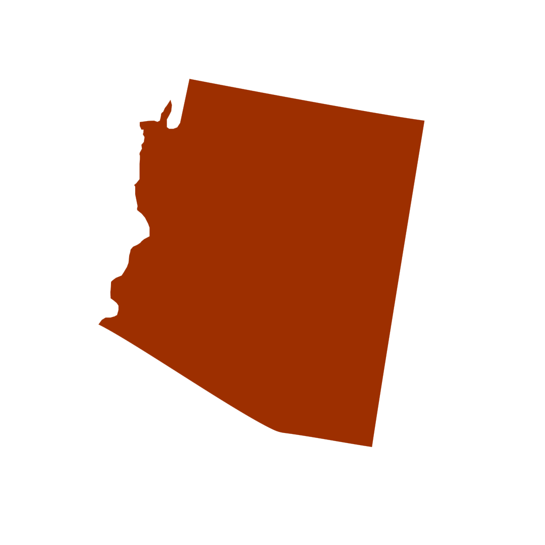 Vector graphic of Arizona