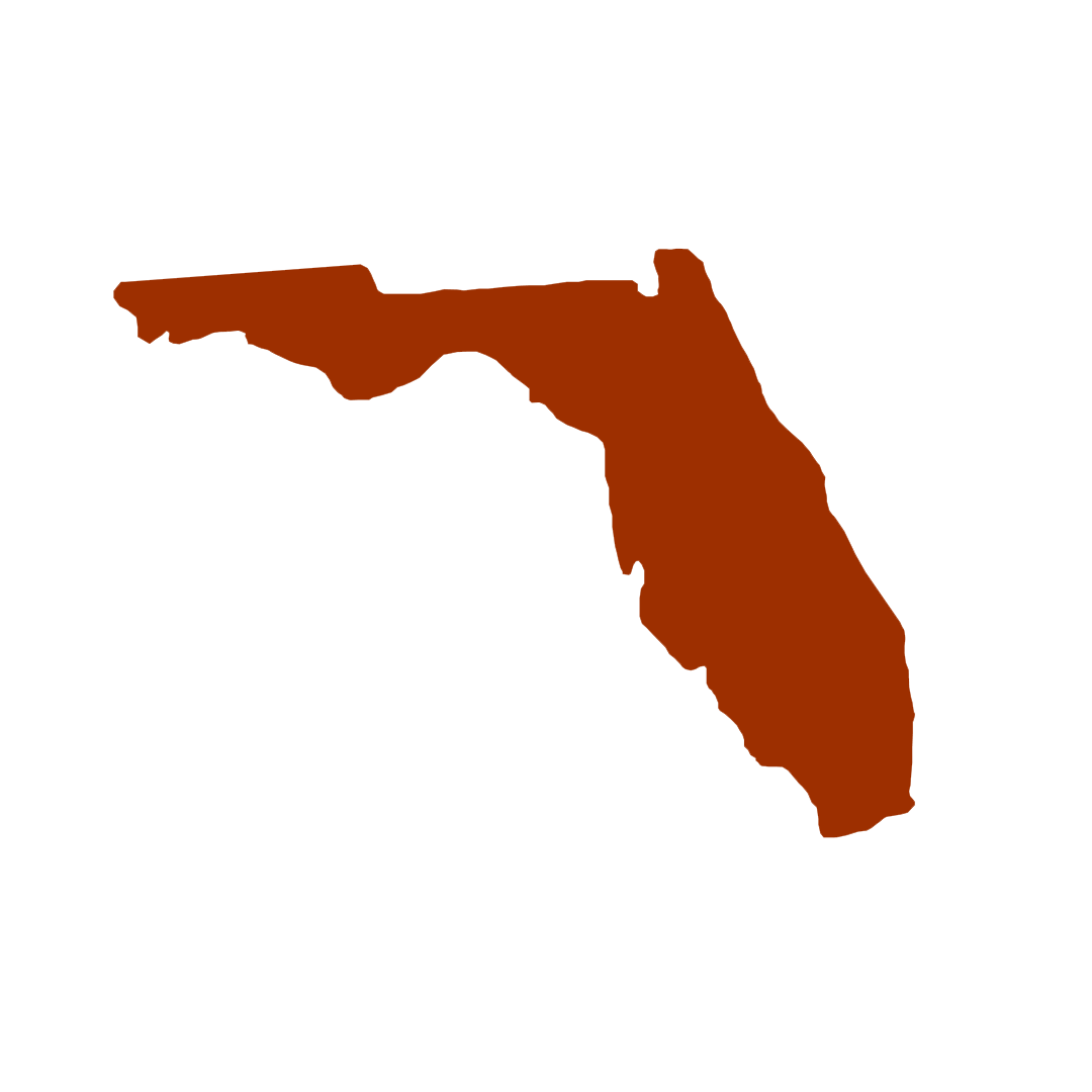 Vector graphic of Florida