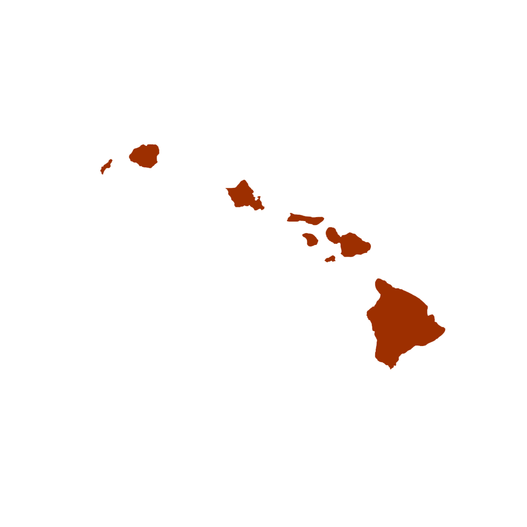 Vector graphic of Hawaii