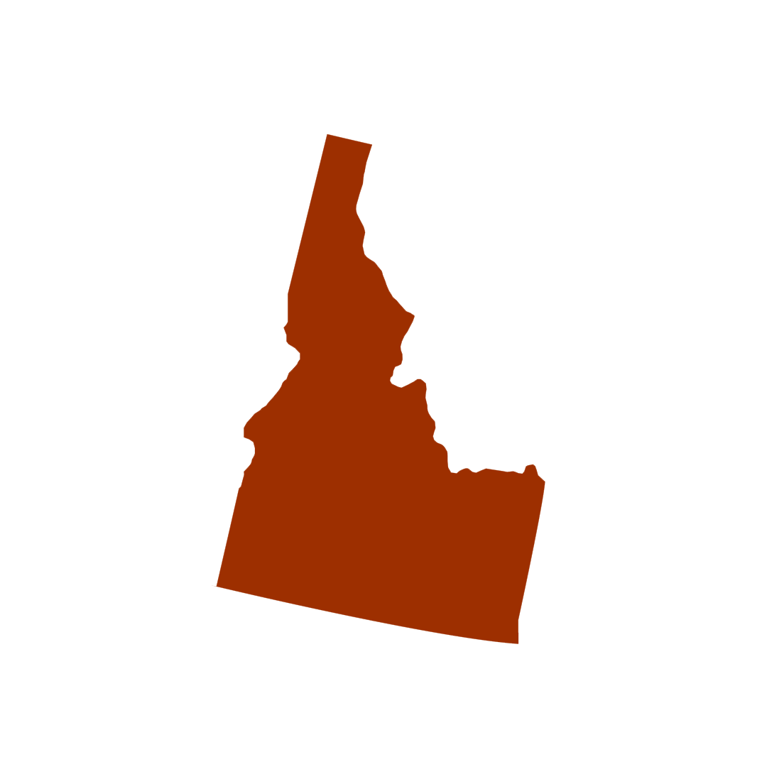 Vector graphic of Idaho