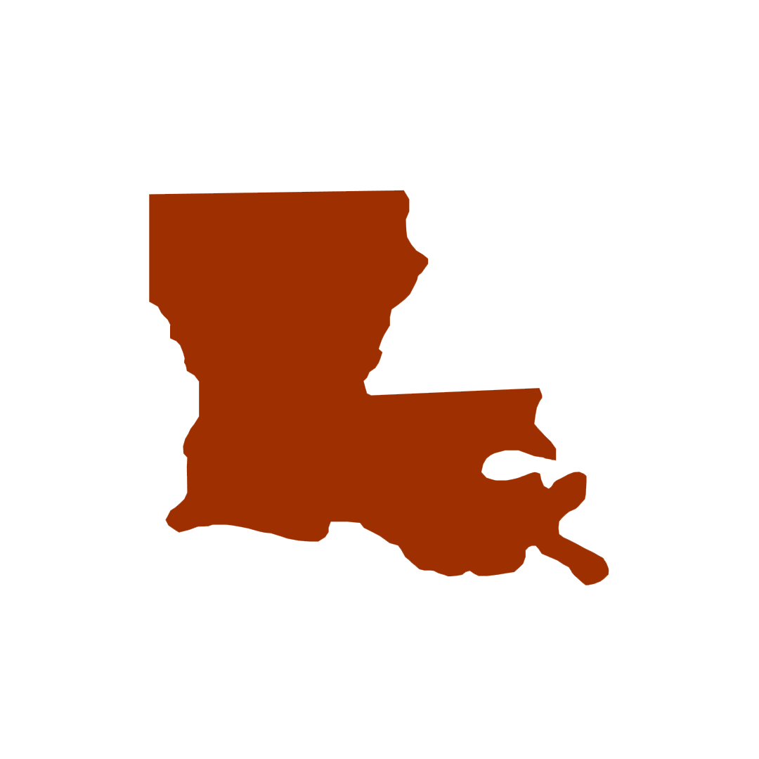 Vector graphic of Louisiana