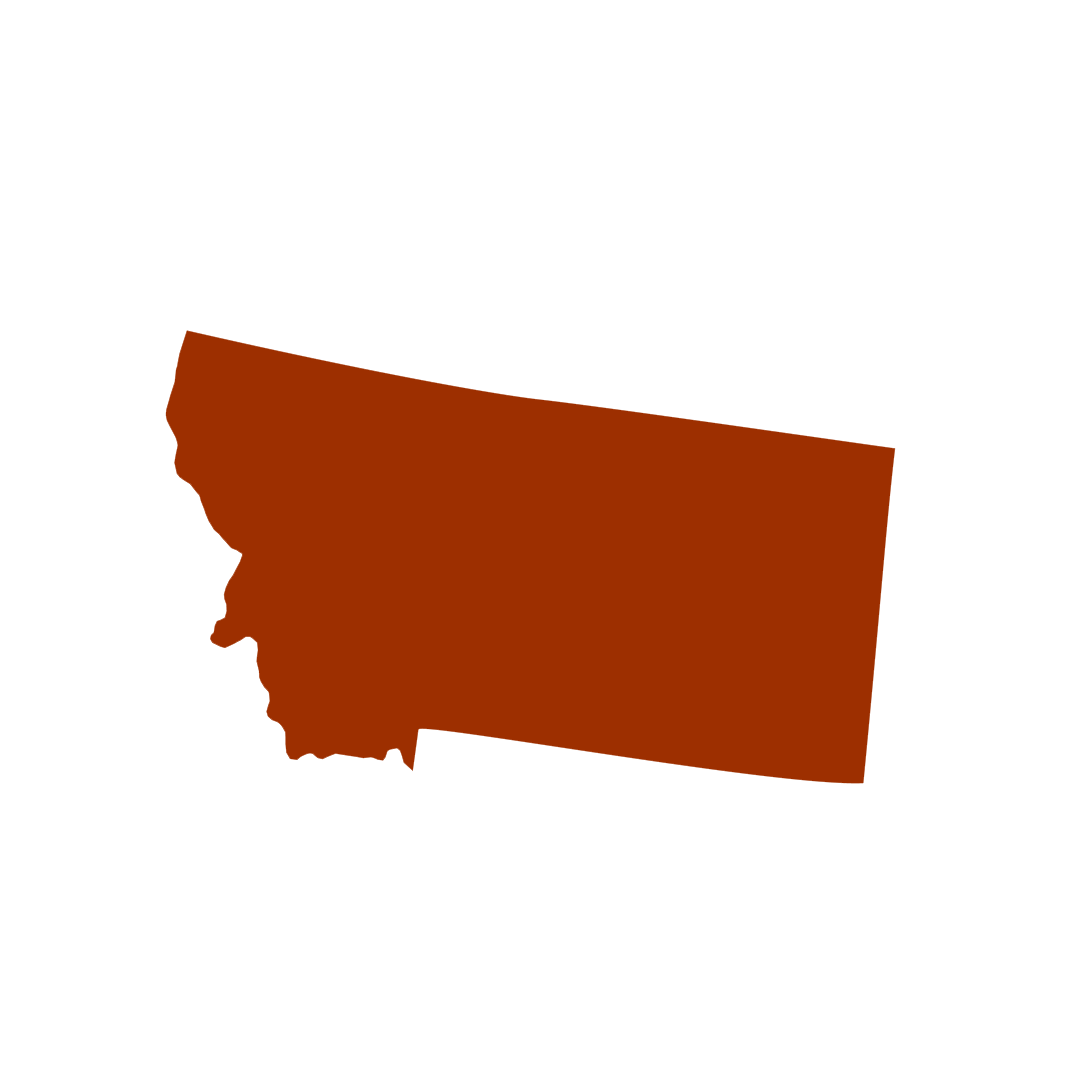 Vector graphic of Montana