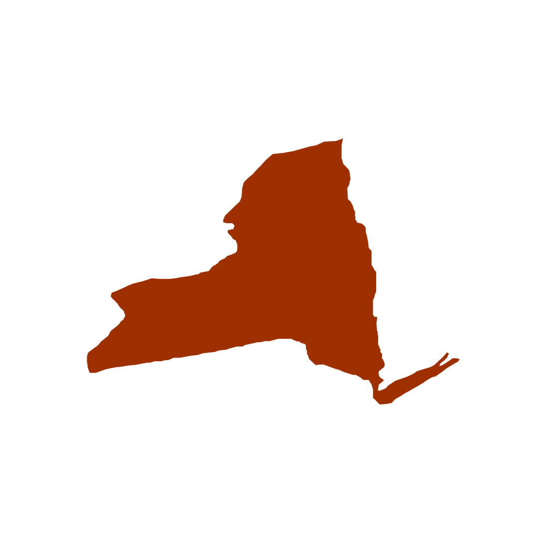 Vector graphic of New York