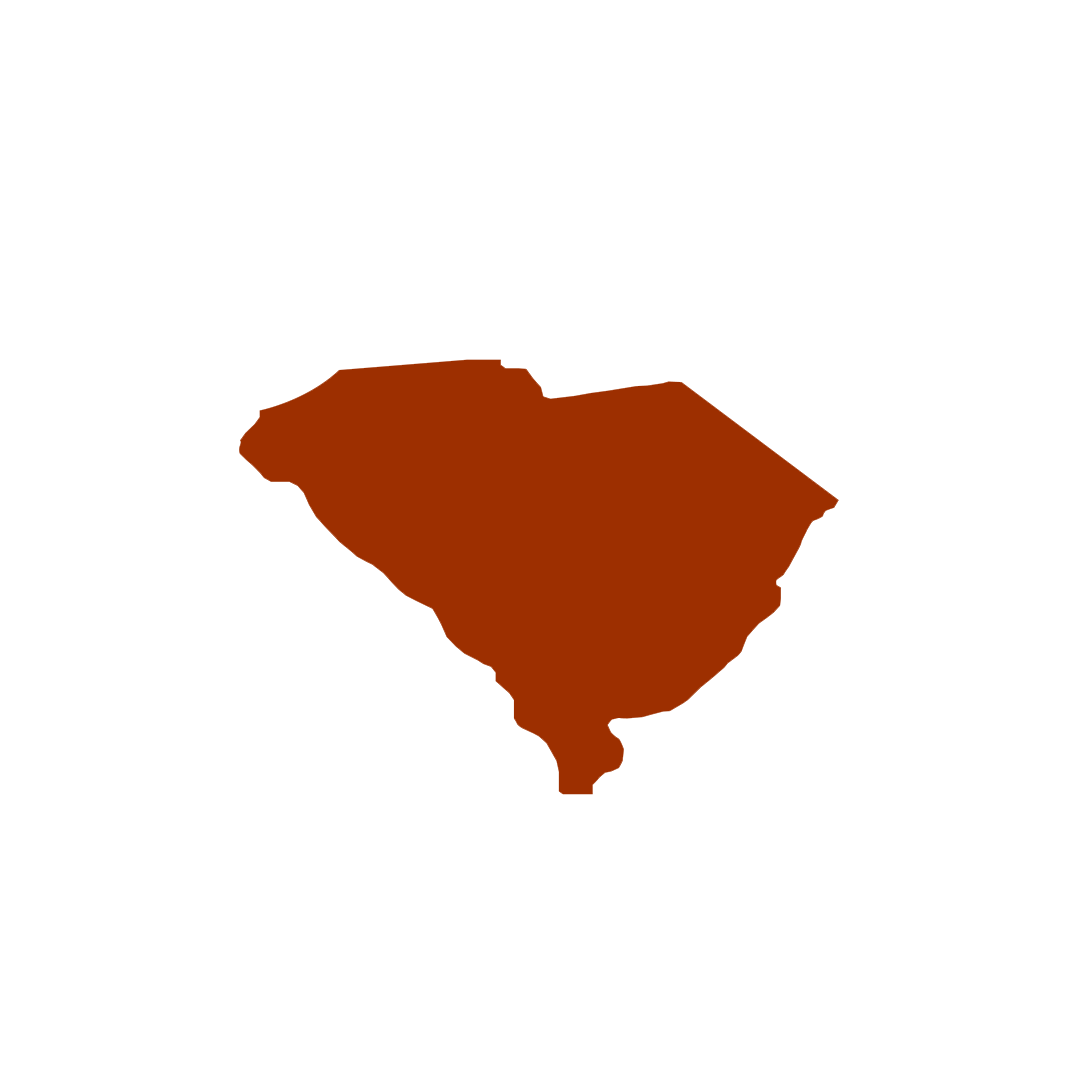 Vector graphic of South Carolina