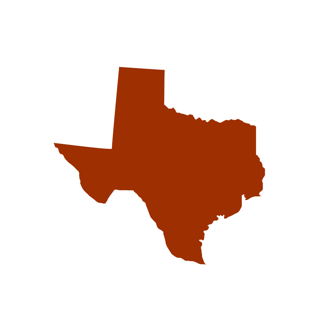 Vector graphic of Texas