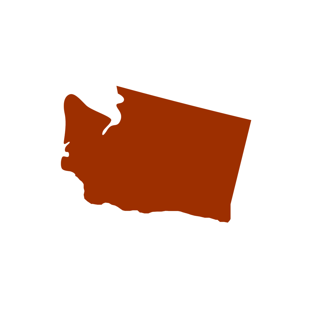 Vector graphic of Washington